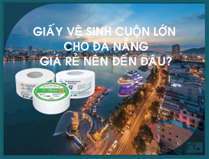 Giấy vệ sinh cuộn lớn Đà Nẵng giá rẻ nên đến đâu?