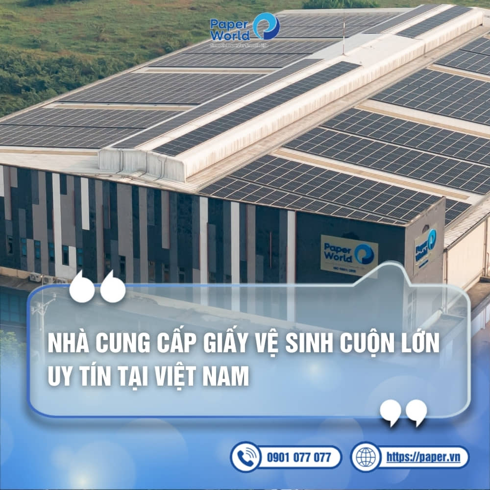 Nhà cung cấp giấy vệ sinh cuộn lớn uy tín tại Việt Nam
