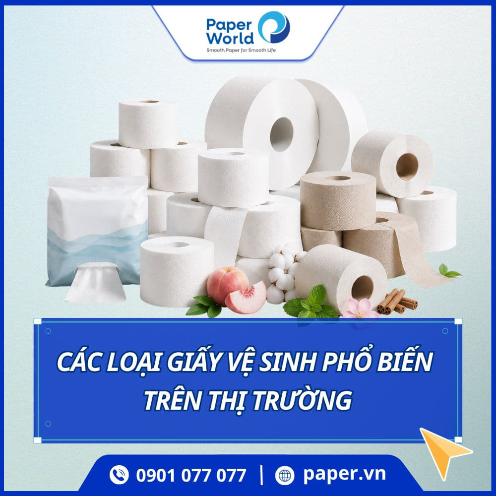 Các loại giấy vệ sinh