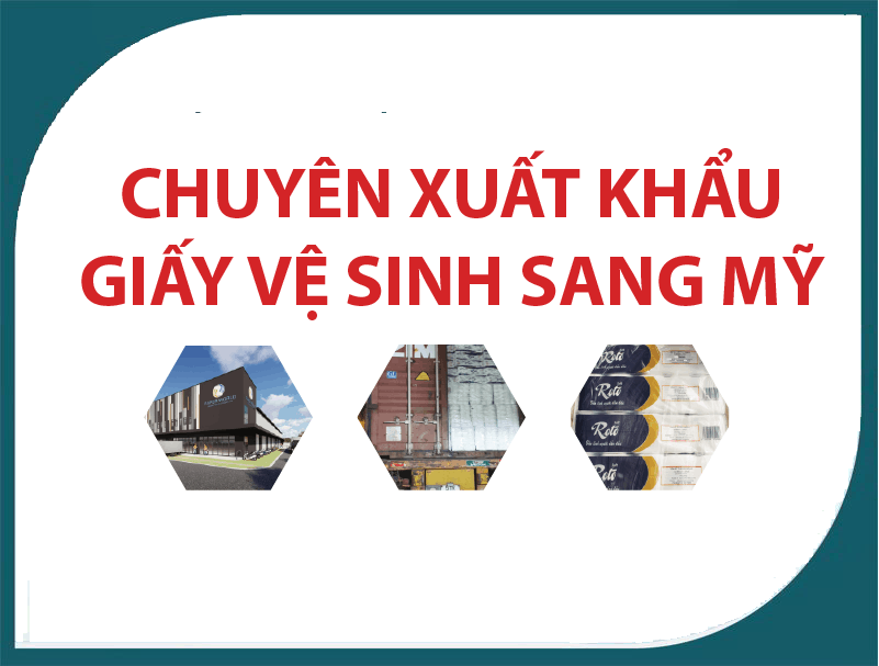 Chuyên xuất khẩu giấy vệ sinh sang Mỹ, công ty tiên phong xuất khẩu giấy vệ sinh