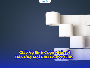 Giấy Vệ Sinh Cuộn Nhỏ Tốt Đáp Ứng Mọi Nhu Cầu Vệ Sinh