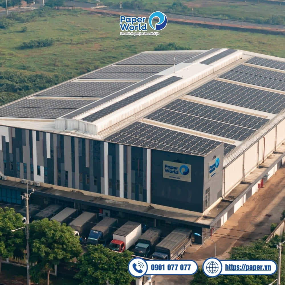 Thế Giới Giấy - Công ty sản xuất và phân phối giấy vệ sinh, khăn giấy, hộp đựng giấy hàng đầu Việt Nam