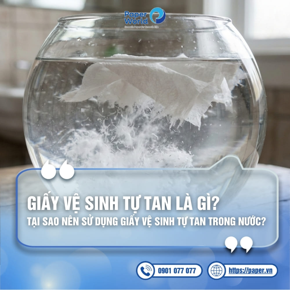 Giấy vệ sinh tự tan