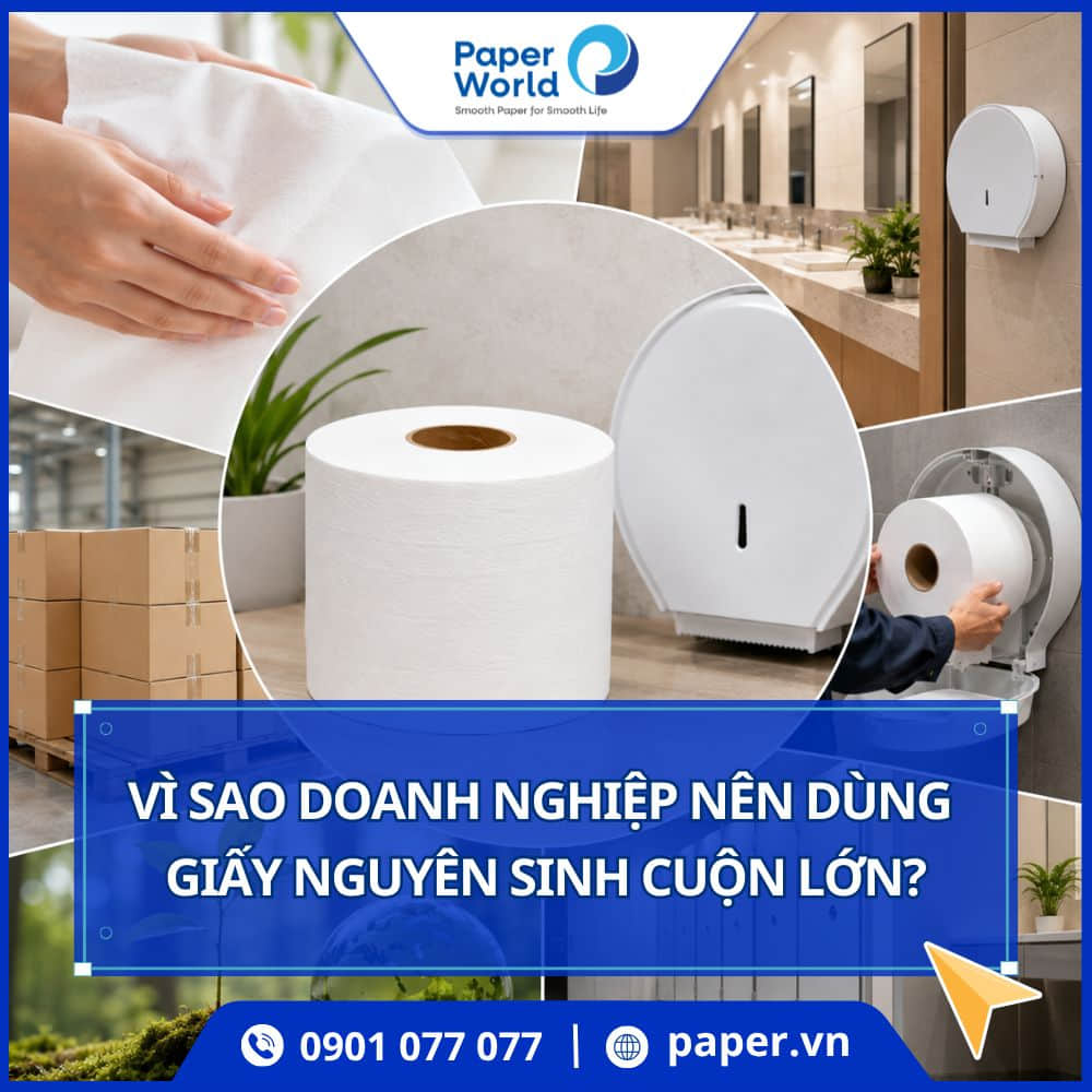 Lợi ích của giấy vệ sinh cuộn lớn từ bột giấy nguyên sinh